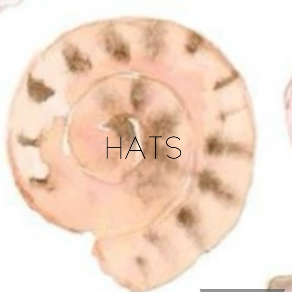 Hats ⬇️